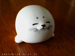 【3COINS ミニトイカメラ】メモリーカードがない場合、240×180サイズの写真しか撮れないです