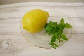 【虫除けハーブ ミントを使ったおすすめ料理】ノンアルコールモヒートの材料