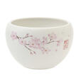 ベイマックス 茶碗 SAKURA 2,000円
