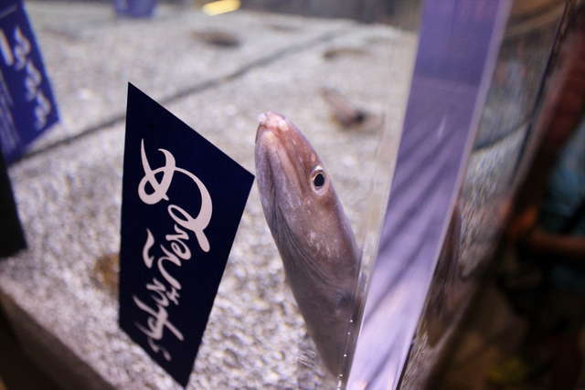 ぬるぬる＆にょろにょろな不思議ないきものたち