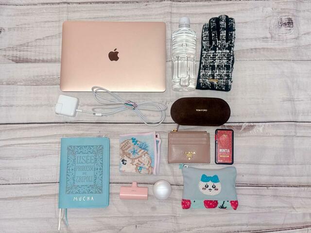 これだけのものが入りました！