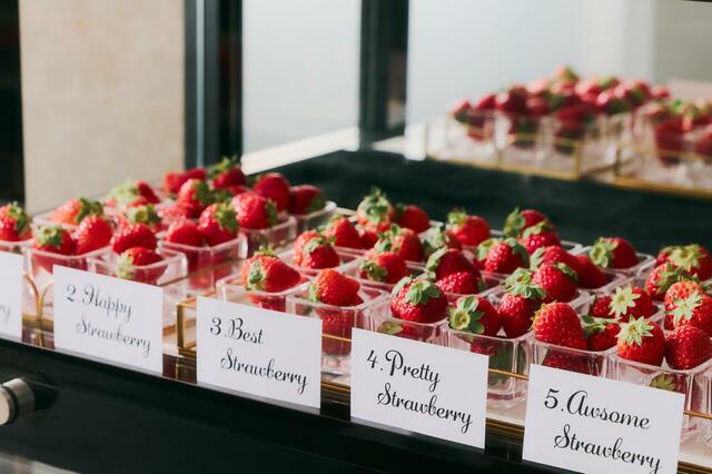 「5種のブランドいちごイメージ」<期間:2026年3月7日〜4月26日>【京都センチュリーホテルで「5種のブランドいちご」や「スイーツ&セイボリー」を優雅に楽しむプレミアムスイーツビュッフェ開催】