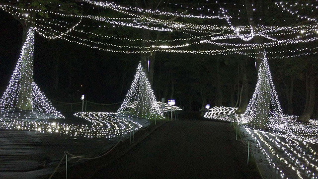 「アパリゾート上越妙高イルミネーション2015」