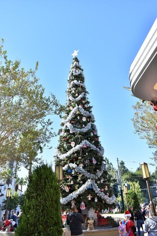 カーセイサークルシアター付近のクリスマスツリー