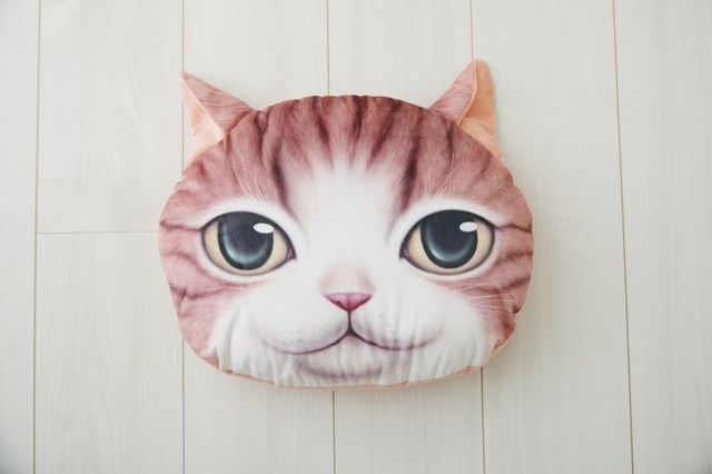 Koira＆Kissa(マンチカン)