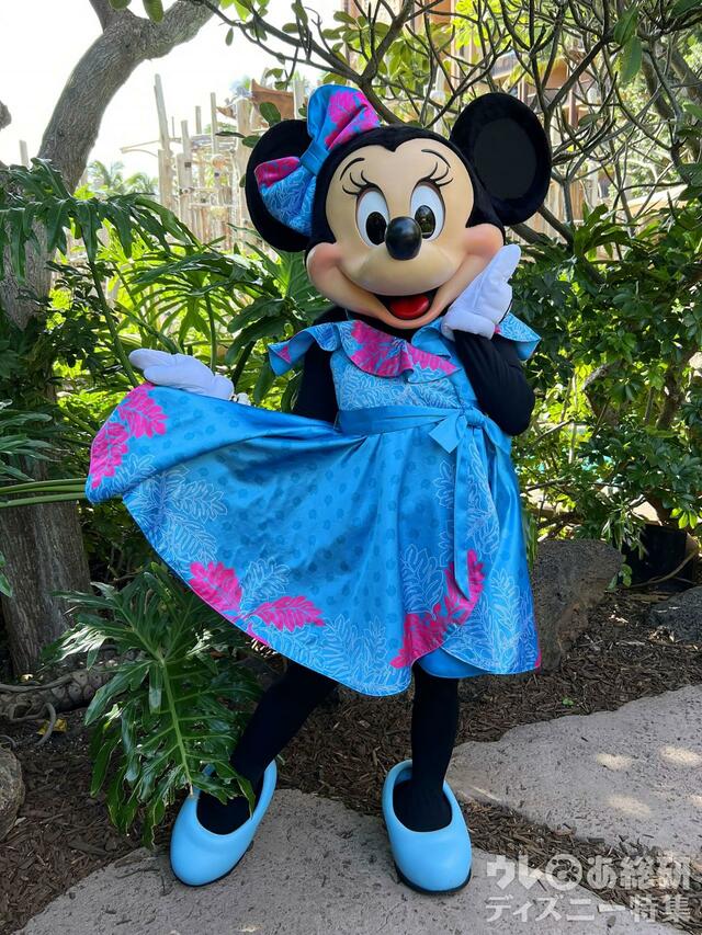 アウラニで会えるキャラクター