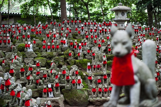 東三河の観光スポット：圧巻の数の狐様がある「豊川稲荷」は、日本三大稲荷のひとつ（豊川市）