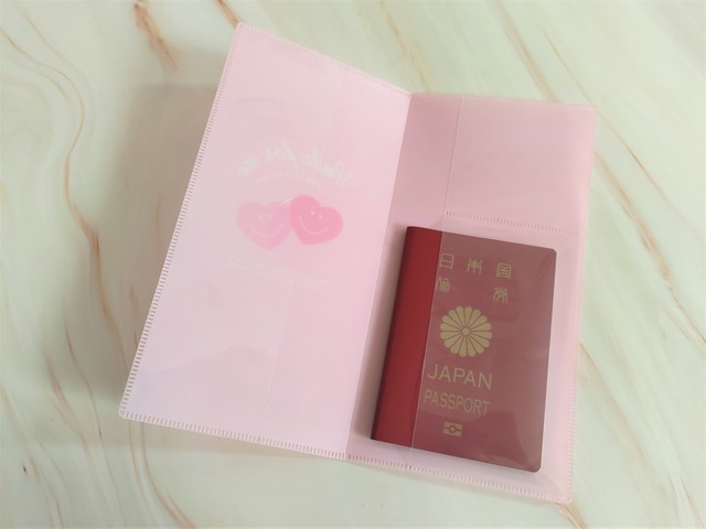 【ダイソー】トラベルパスポートホルダーにパスポートを入れてみたところ