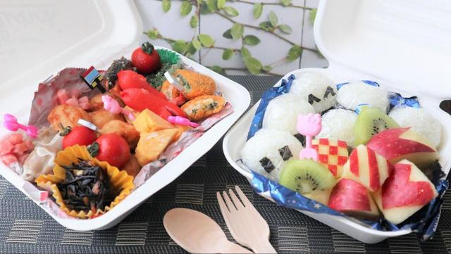 【お弁当にぴったりの冷凍食品】お弁当を持って外に出かけよう！