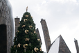 ホグズミード村のクリスマス・ツリー|ウィザーディング・ワールド・オブ・ハリー・ポッター|ユニバーサル・スタジオ・ジャパン