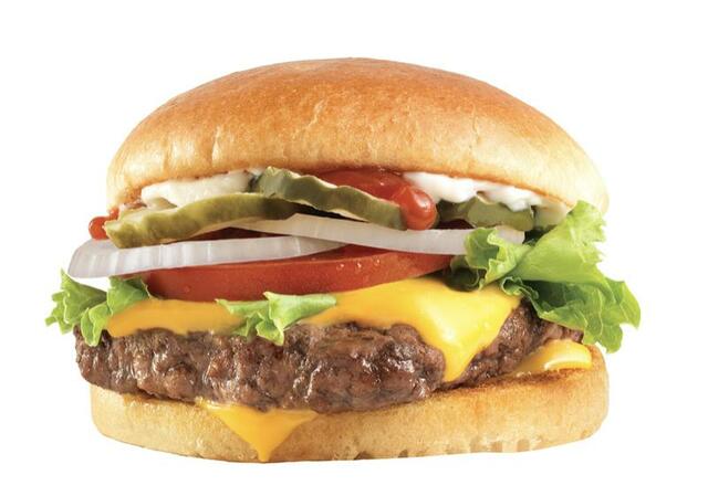 「ウェンディーズバーガーUSA」＜単品730円＞【ウェンディーズ・ファーストキッチン 鳴海なるぱーく店がオープン】