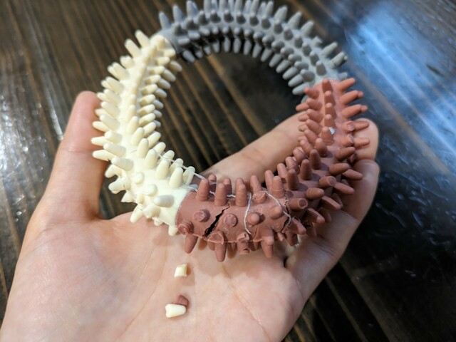 【ダイソー ペットのデンタルおもちゃ（リング）】しかし噛みすぎたのか、一晩で突起がいくつか取れ、本体にはヒビが…！