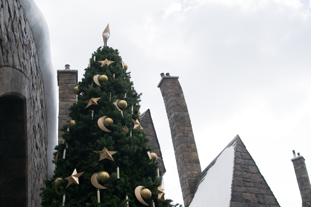 ホグズミード村のクリスマス・ツリー|ウィザーディング・ワールド・オブ・ハリー・ポッター|ユニバーサル・スタジオ・ジャパン