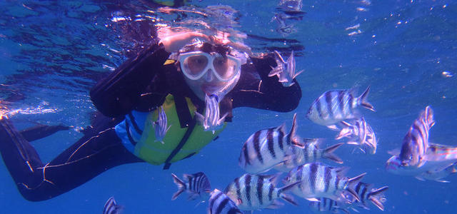 シュノーケリング