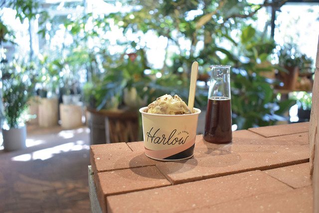 ハーロウアイスクリームとコラボした新商品も登場予定【兵庫・北野｜MINORI HILL｜GROUNDS】