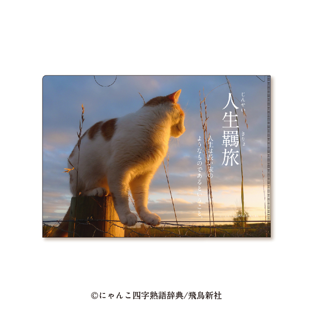 にゃんこ四字熟語　重ね絵クリアファイルA4 人生羈旅（じんせいきりょ） 商品価格（消費税込み）：330円【にゃんこ四字熟語グッズ】
