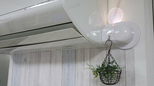 【ニトリとセリアで自宅に「映えスポット」】ライトとグリーンで視覚的な癒し効果も