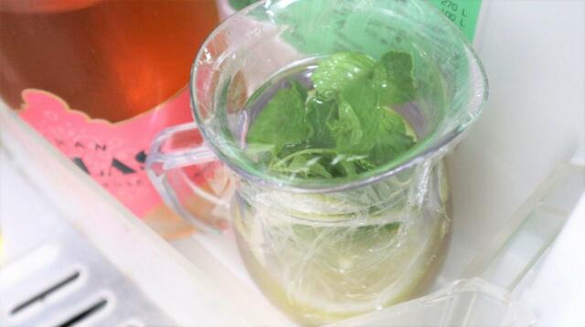 【プラキラ デカンタでフレーバーウォーター】冷蔵庫のドアポケットにも入る