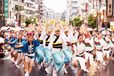 第60回東京高円寺阿波おどり