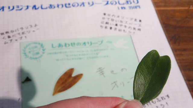 香川旅／小豆島オリーブ公園・見つけると幸せになるハート型のオリーブの葉