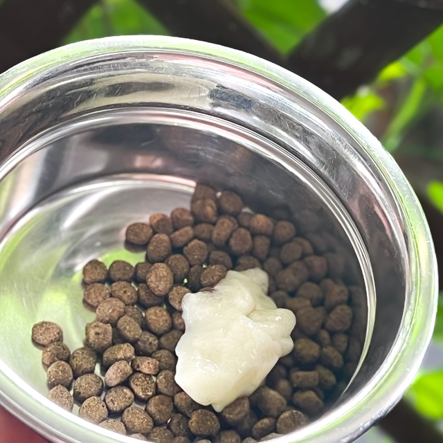 【ペティオごほうびプチアイスバニラ風味スティックタイプ】食欲のない時のフードトッピングにも使えます