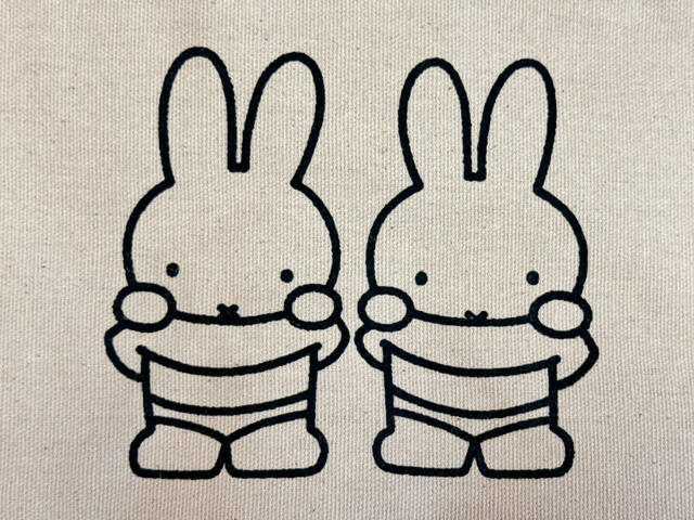 絵本『ミッフィーとメラニー』の中の「わたしのおなかも茶色だったら良かったのに」のシーンのイラスト!かわいすぎる…!