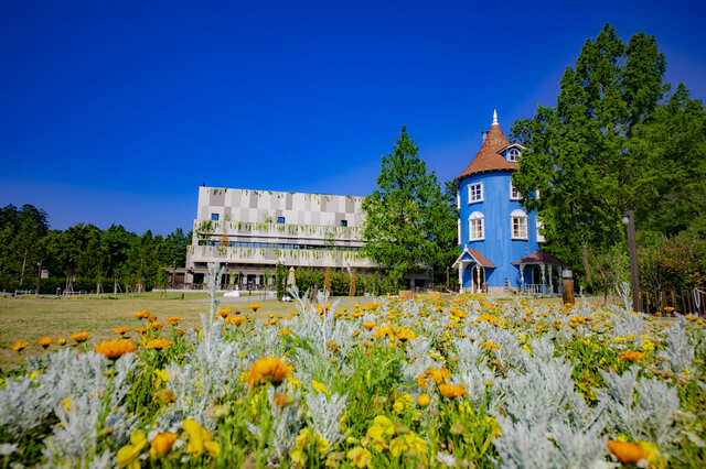 晴れた日にはこんなにフォトジェニックな光景に！