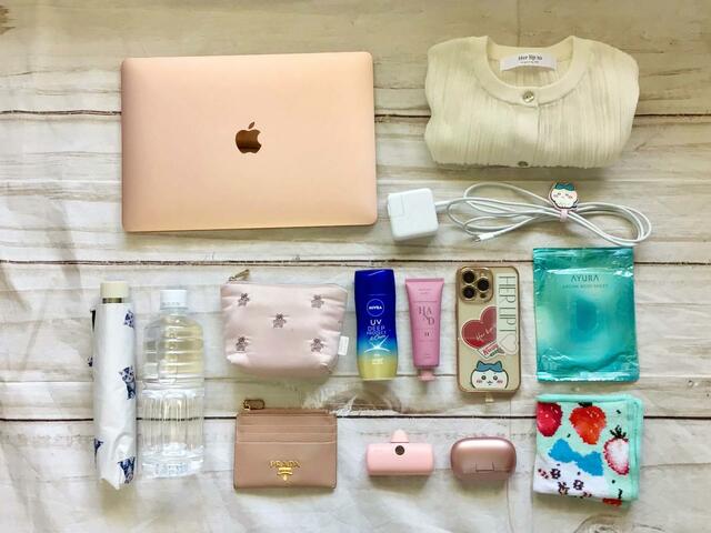 これだけのモノを整理整頓しながら収納できました!