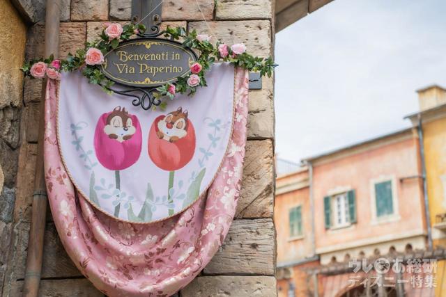 パペリーノ通り