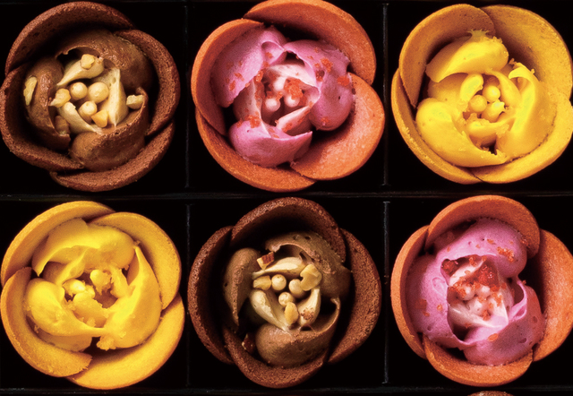 TOKYOチューリップローズ「チューリップローズ」