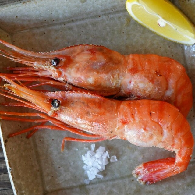 「訳あり天然エビの食べ比べ」＜価格：5,000円（税込・送料込）＞【最大4,000円以上もお得！カニもお寿司も