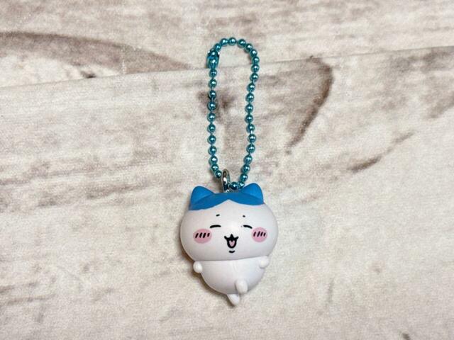 推しのハチワレが来てくれました…！