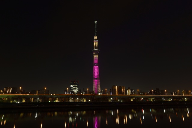 © 2019 Mattel. All Rights Reserved. ©TOKYO-SKYTREE