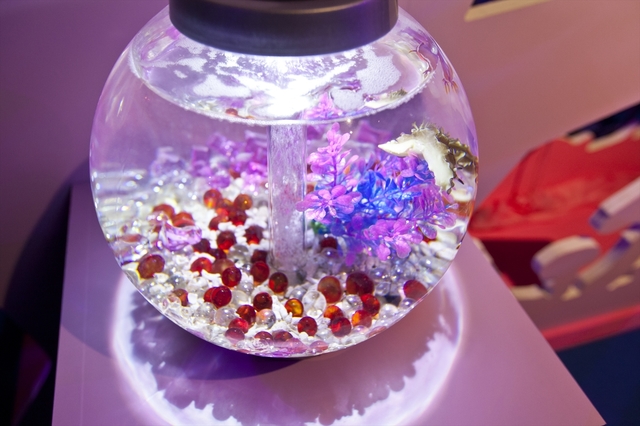 「KAWAII不思議AQUARIUM」
