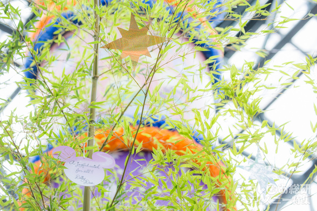 ウィッシングカードと笹をからめて