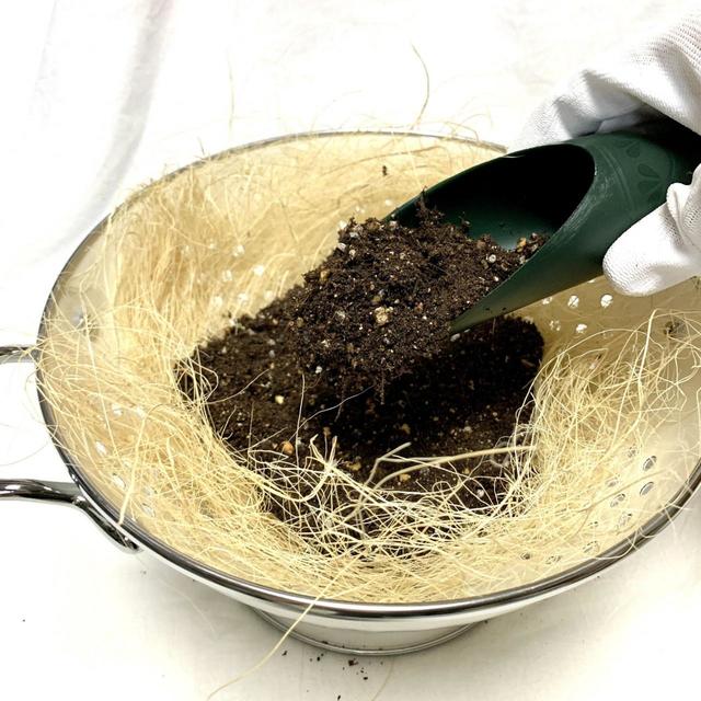 【キッチンハーブの寄せ植え】配置その1／プランターや鉢に土を入れていく