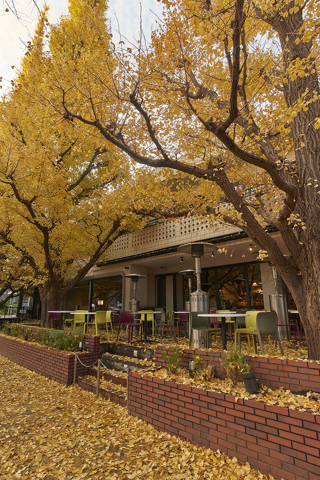 キハチ 青山本店