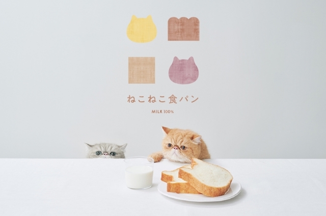 「ねこねこ食パン」が5月29日（金）より東京都・武蔵村山に登場
