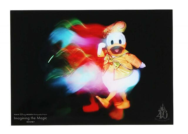 写真|500円|サイズ:2L|東京ディズニーリゾート40周年「イマジニング・ザ・マジック」奥山由之コラボグッズ|販売店舗:東京ディズニーランド「グランドエンポーリアム」、東京ディズニーシー「エンポーリオ」|発売日:2023年10月19日(木)