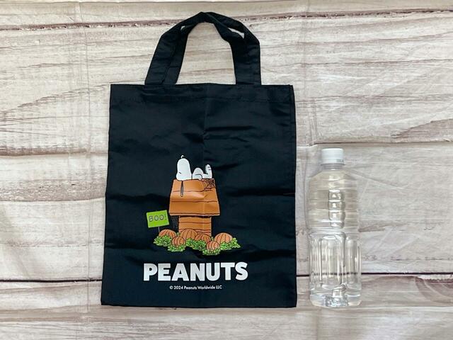 550mlのペットボトルと並べてみました