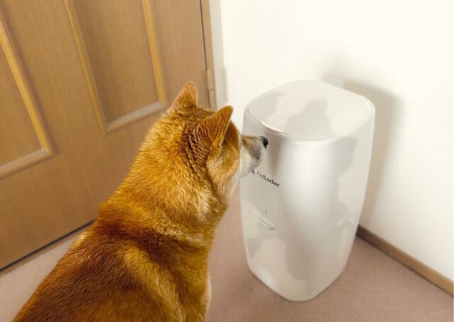 【パッドロッカー】ニオイがしないので愛犬も不思議そうに見ています