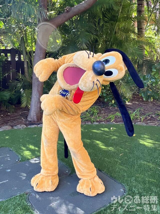 アウラニで会えるキャラクター