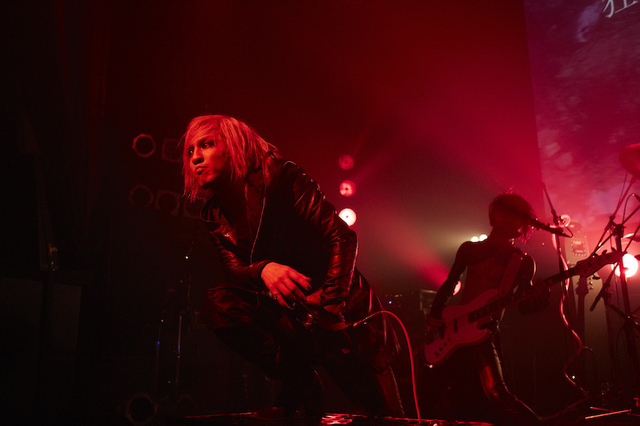 THE BLACK SWAN　儿