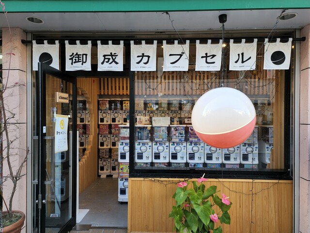 【まちのコイン】地域密着型カプセルトイ専門店「御成カプセル」