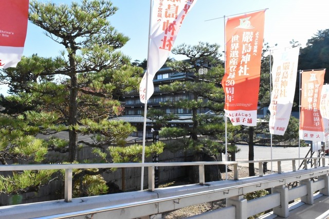 「日本三景」の松が植えられている