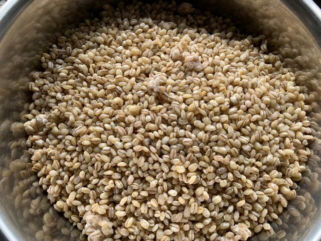 【自家製みその材料】味噌づくりに欠かせない麹。九州では麦みそが主流なので麦麹も入手できる