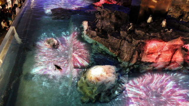 ぬるぬる&にょろにょろな不思議ないきものたち/「ペンギン花火」イメージ