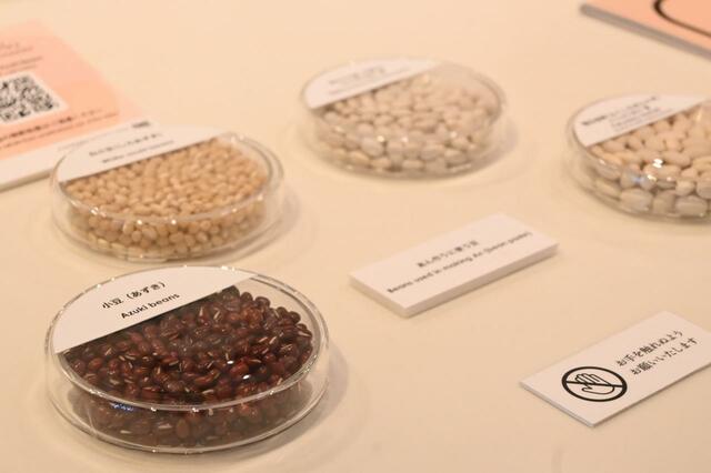 【とらや特別展】豆にもいろいろ種類が。餡によって配合が変わるそう