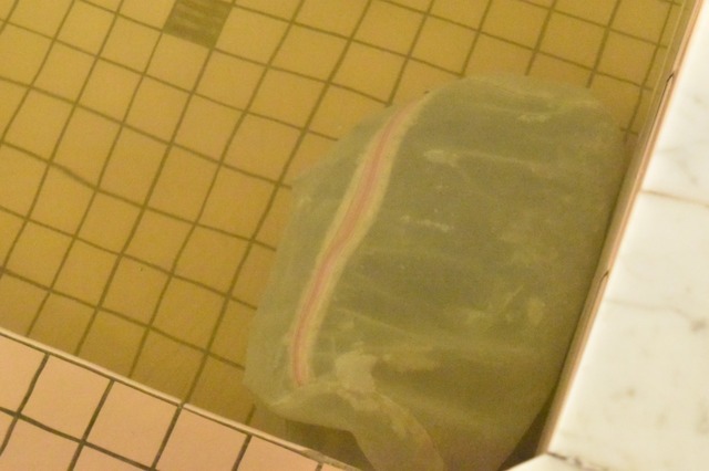 ネットの中が酵素のカス