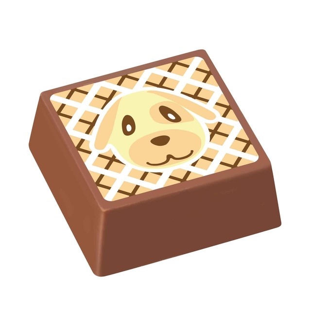 【ゴディバ×あつまれ どうぶつの森】キャラメル【ミルク キャラメル チョコレート】